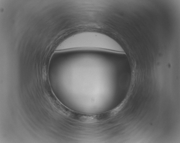 X0000053160170200507111125