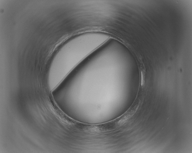 X0000053160253200507111123