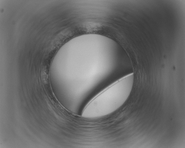 X0000053160316200507111123