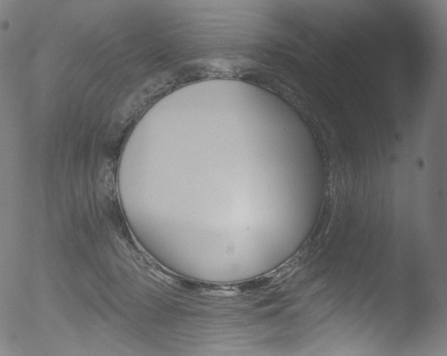 X0000053160318200507111123