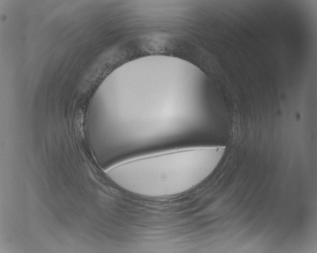 X0000053160332200507111122