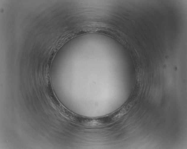 X0000053160460200507111120