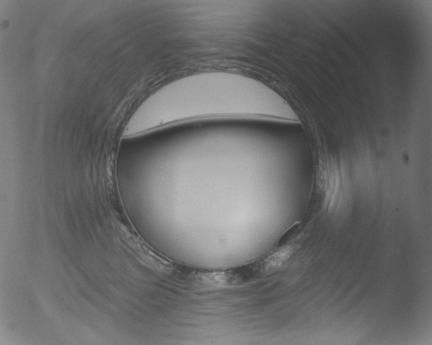 X0000053160473200507111120
