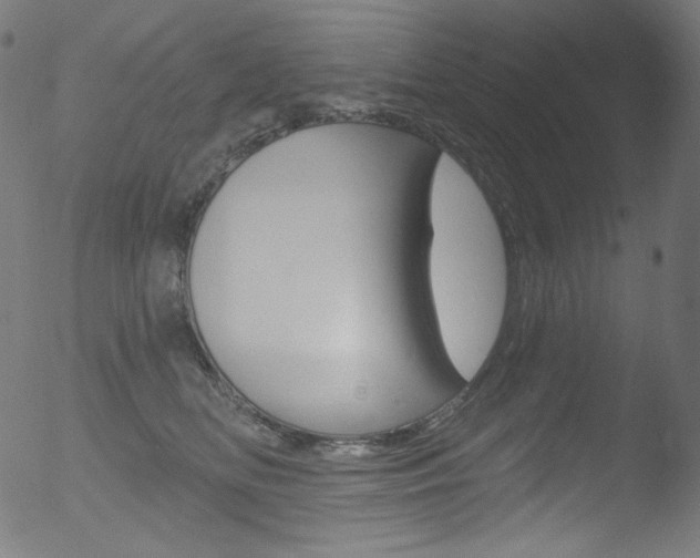 X0000053160518200507111119