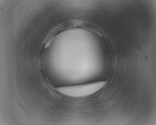 X0000053160524200507111119