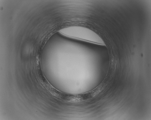 X0000053160555200507111119
