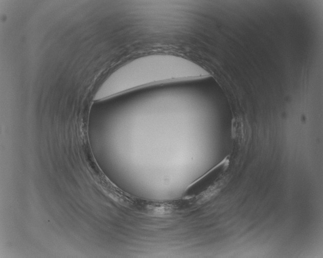 X0000053160564200507111119