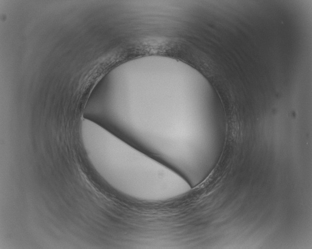 X0000053160594200507111118