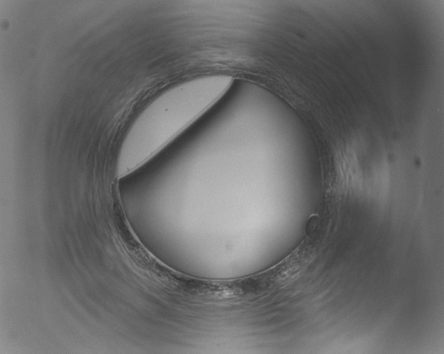 X0000053160646200507111117