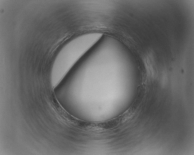 X0000053160648200507111117