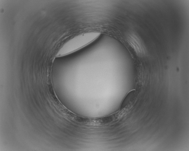 X0000053160656200507111117