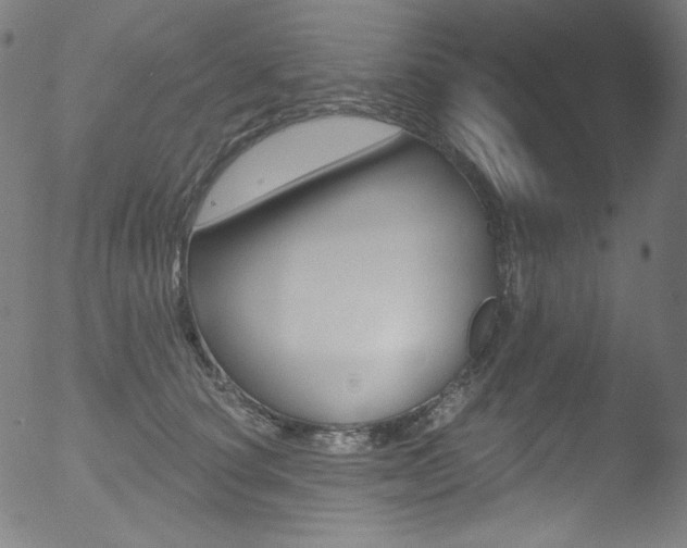 X0000053160660200507111117
