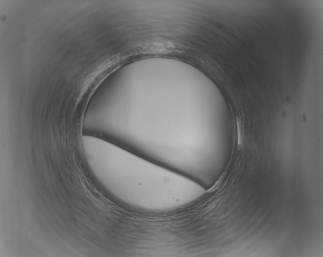 X0000053160675200507111117