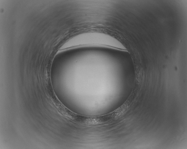 X0000053160704200507111116