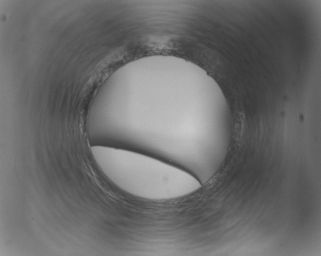 X0000053160710200507111116