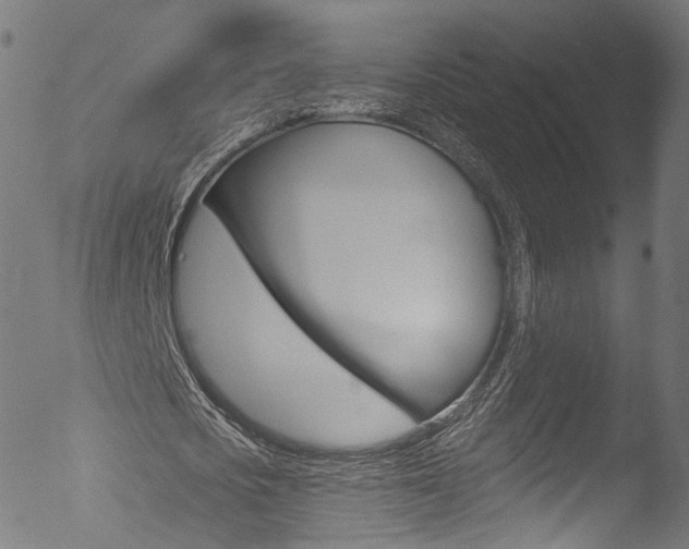 X0000053160721200507111115
