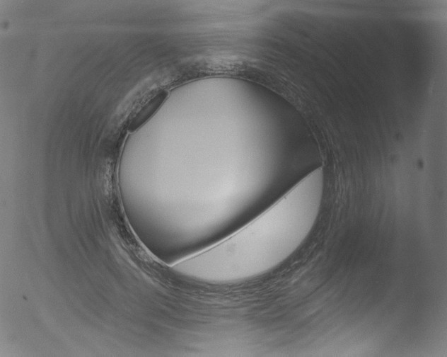 X0000053160744200507111115