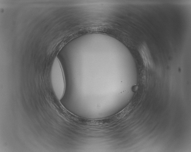X0000053160746200507111115