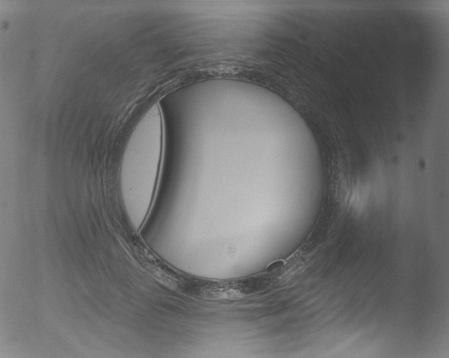 X0000053160747200507111115