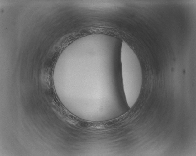 X0000053160749200507111115