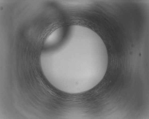 X0000053160750200507111115