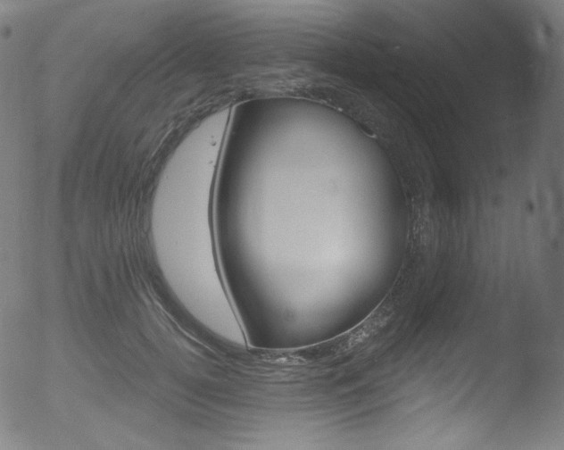 X0000053160752200507111116