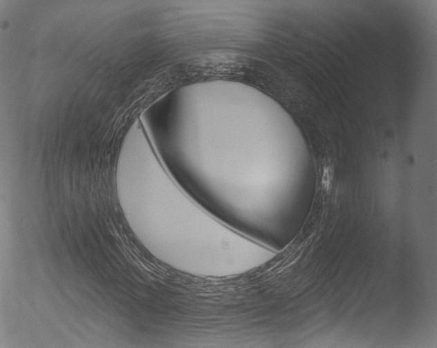 X0000053160771200507111115