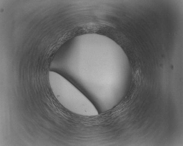 X0000053160772200507111115