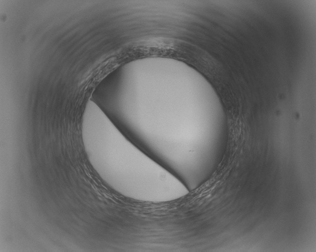 X0000053160774200507111115