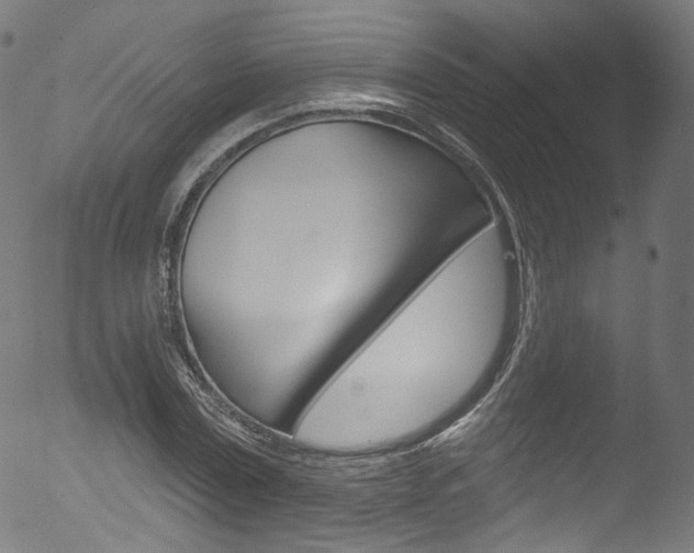 X0000053160779200507111115