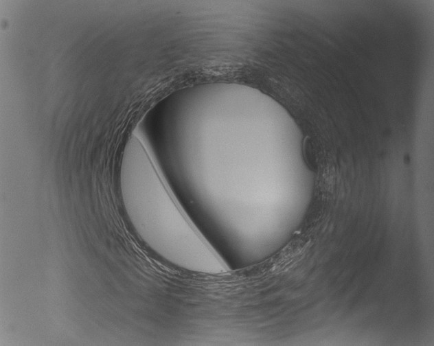 X0000053160817200507111113