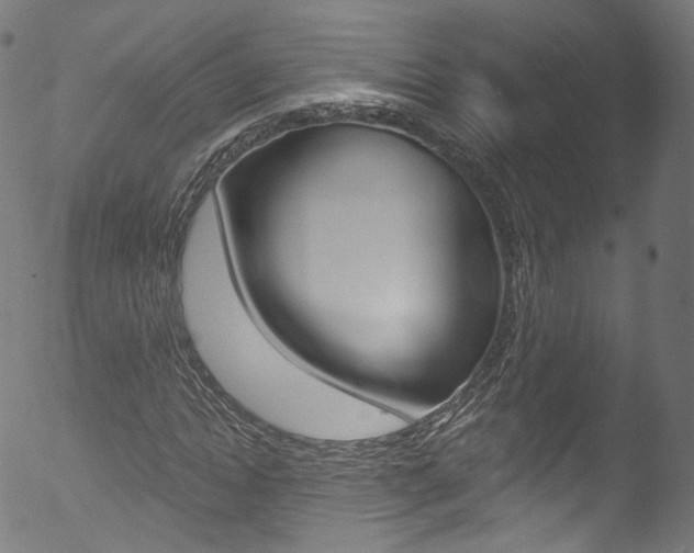 X0000053160822200507111113