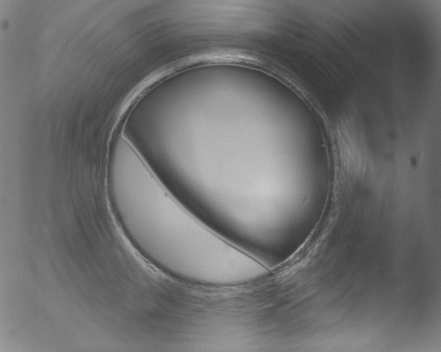 X0000053160853200507111114