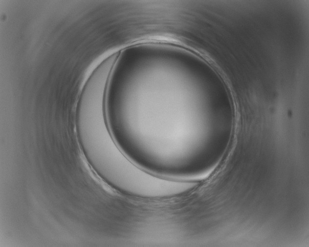 X0000053160862200507111114