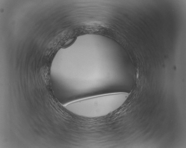X0000053160867200507111113