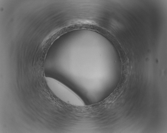X0000053160919200507111112