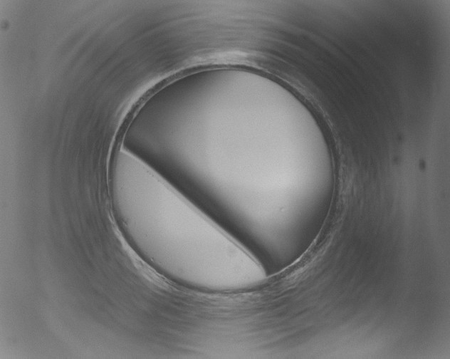 X0000053160988200507111111