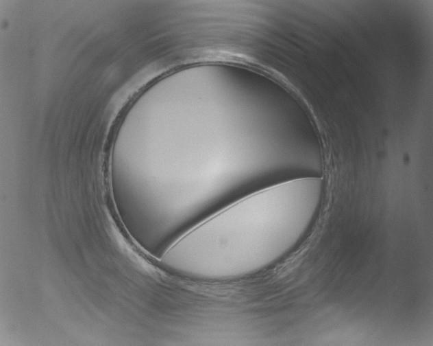 X0000053160995200507111111
