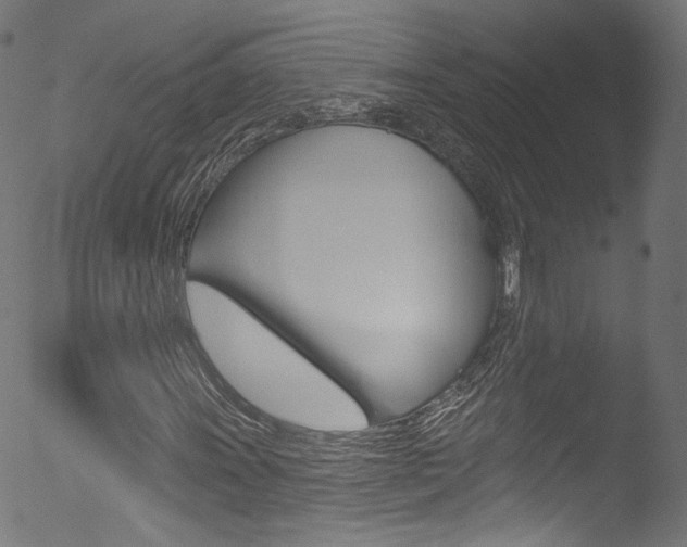 X0000053161011200507111110