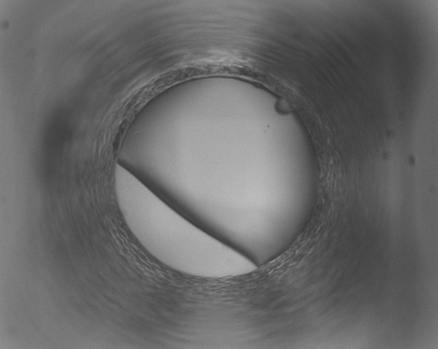 X0000053161015200507111110