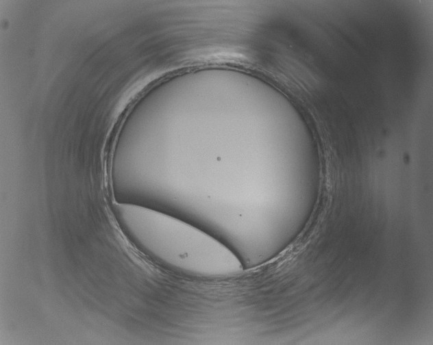 X0000053161031200507111111