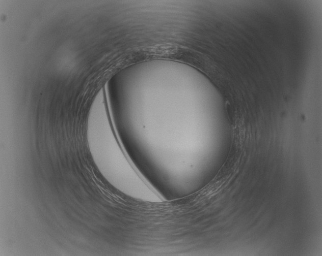 X0000053161058200507111110