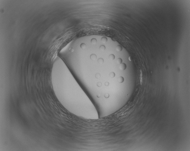 X0000053161059200507111110