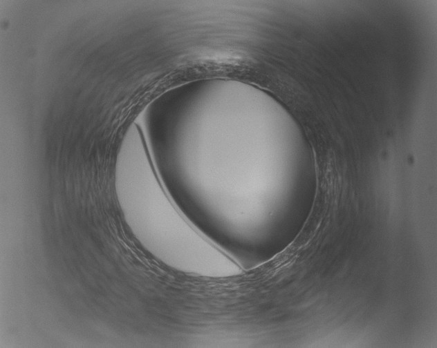 X0000053161061200507111110