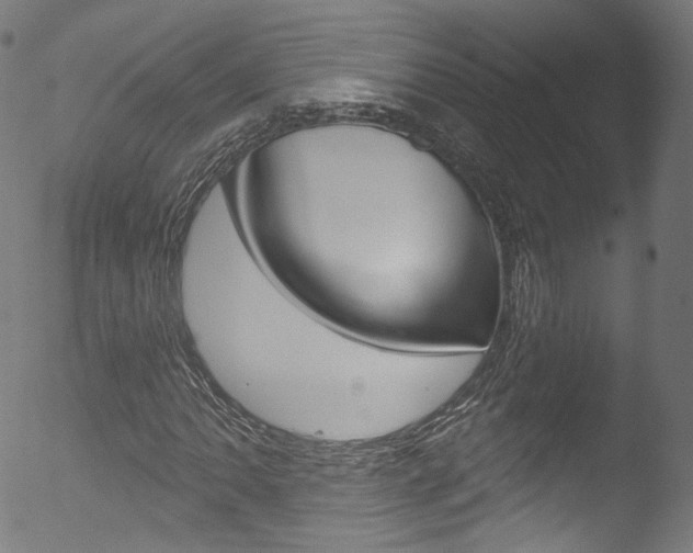 X0000053161062200507111110