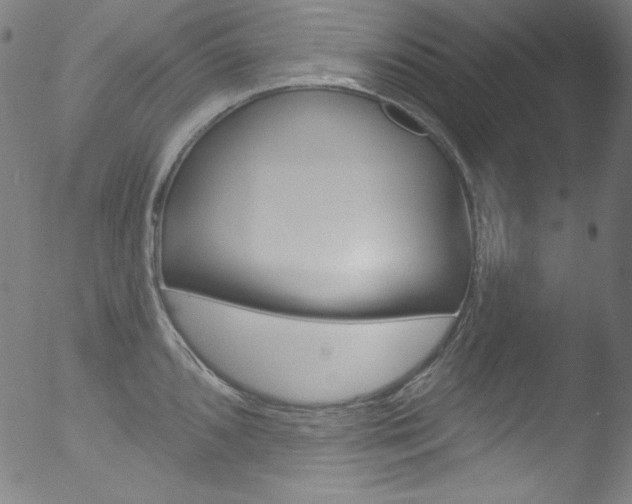 X0000053161096200507111109