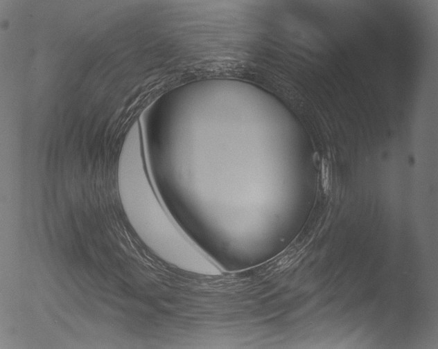 X0000053161107200507111109