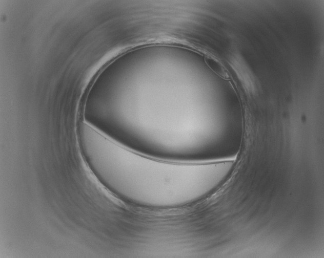 X0000053161142200507111109