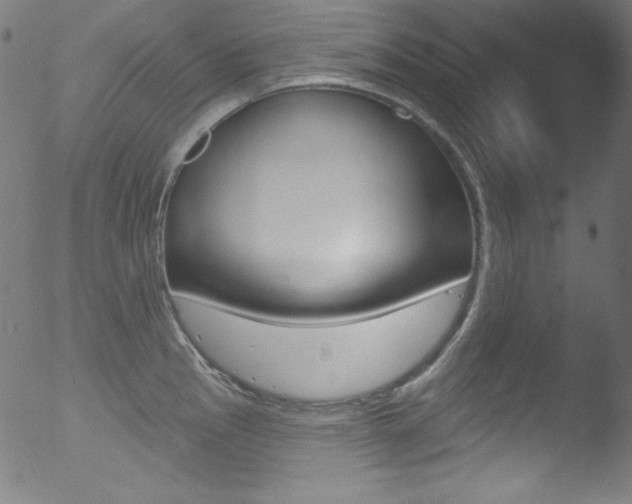 X0000053161145200507111109