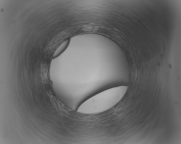 X0000053161154200507111109